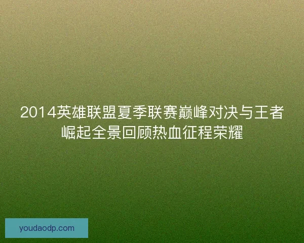 2014英雄联盟夏季联赛巅峰对决与王者崛起全景回顾热血征程荣耀